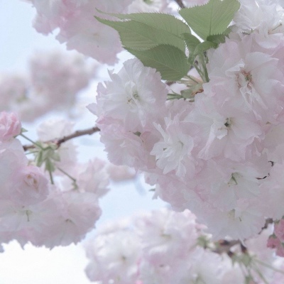 Furry插画光影技巧兽圈社群